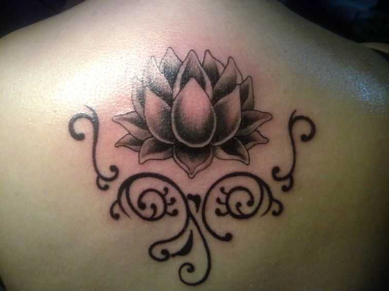 tatu_lotos-112