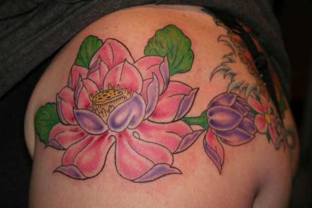 tatu_lotos-132