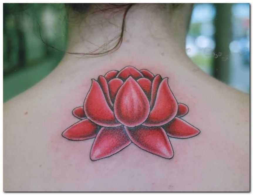 tatu_lotos-141