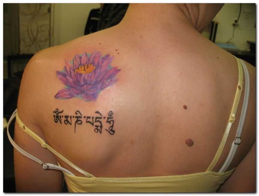 tatu_lotos-144