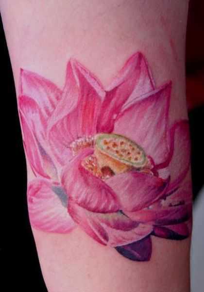 tatu_lotos-154