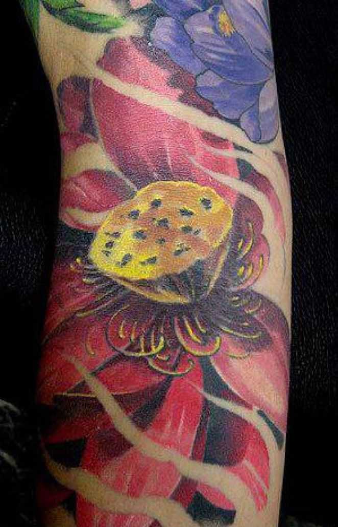 tatu_lotos-162