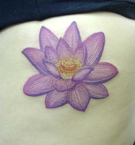 tatu_lotos-168