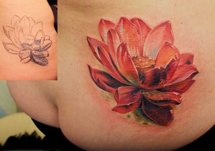 tatu_lotos-18