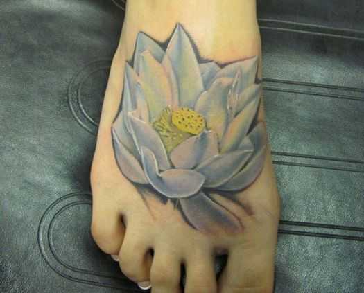 tatu_lotos-188