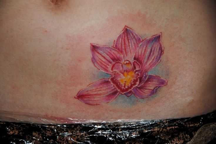 tatu_lotos-196