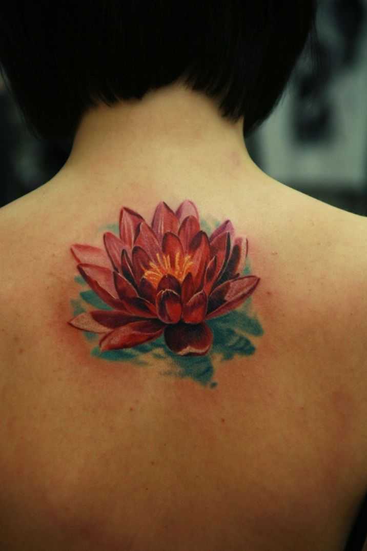 tatu_lotos-199