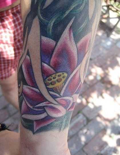 tatu_lotos-20
