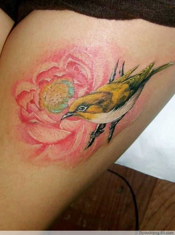 tatu_lotos-43