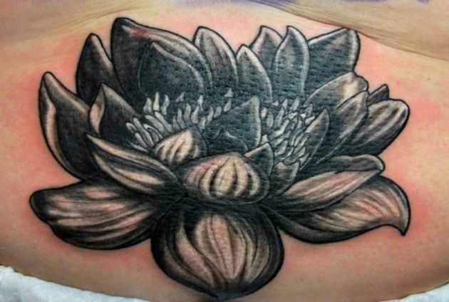 tatu_lotos-46