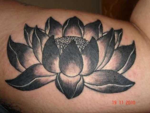 tatu_lotos-47