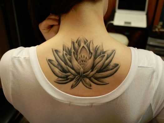 tatu_lotos-83