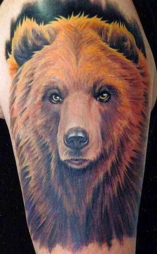 tatu_medved-102