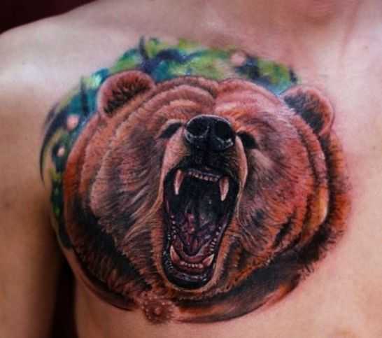 tatu_medved-103