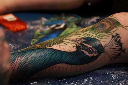 tatu_pavlin-4