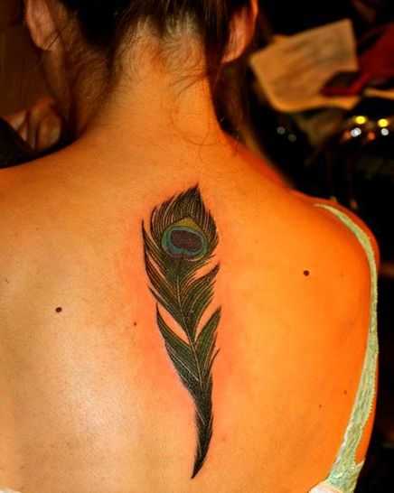 tatu_pavlin-41
