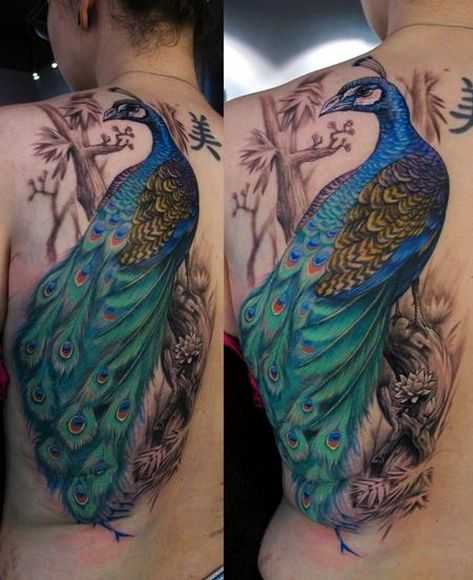 tatu_pavlin-47