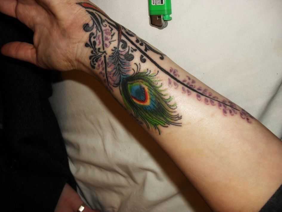 tatu_pavlin-50