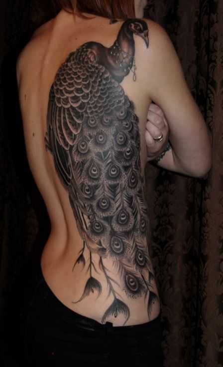 tatu_pavlin-59