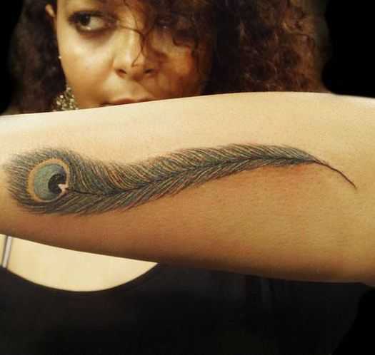 tatu_pavlin-6