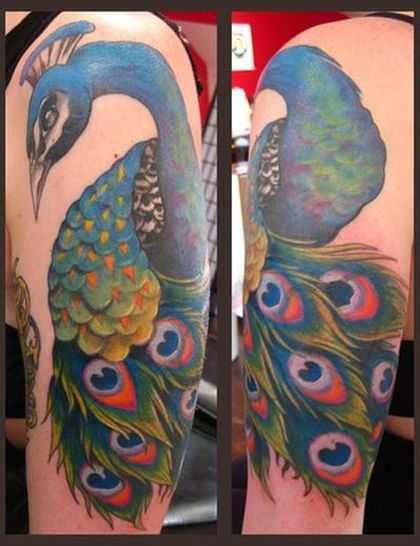 tatu_pavlin-61