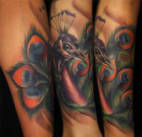 tatu_pavlin-64