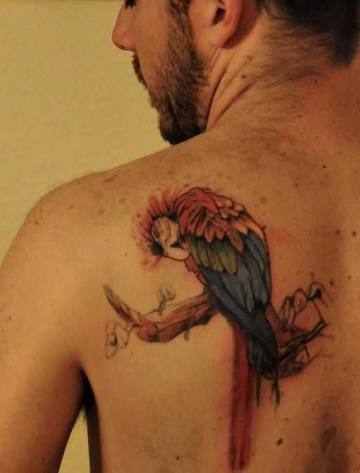 tatu_popugai-17