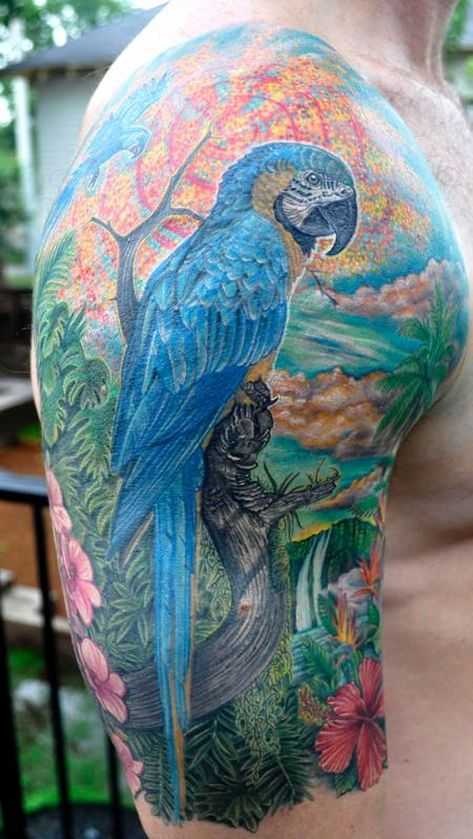 tatu_popugai-51
