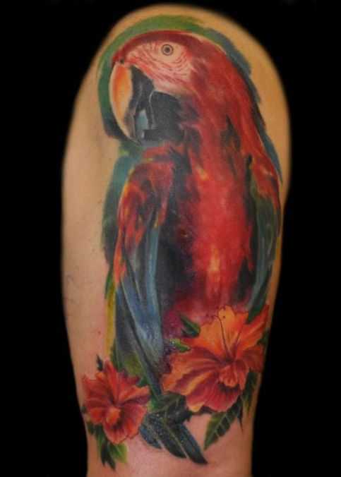 tatu_popugai-56