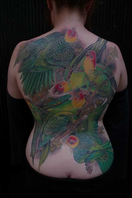tatu_popugai-6