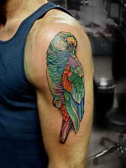 tatu_popugai-60