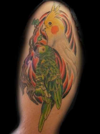 tatu_popugai-62