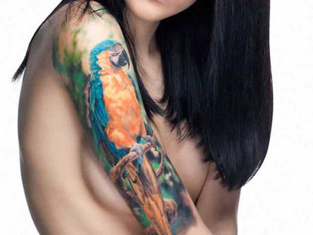 tatu_popugai-74