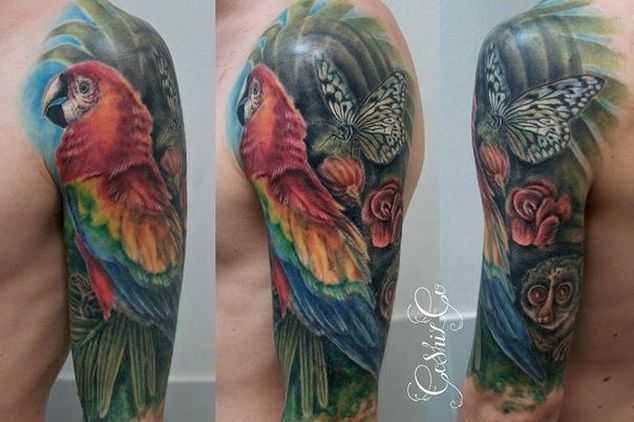 tatu_popugai-8