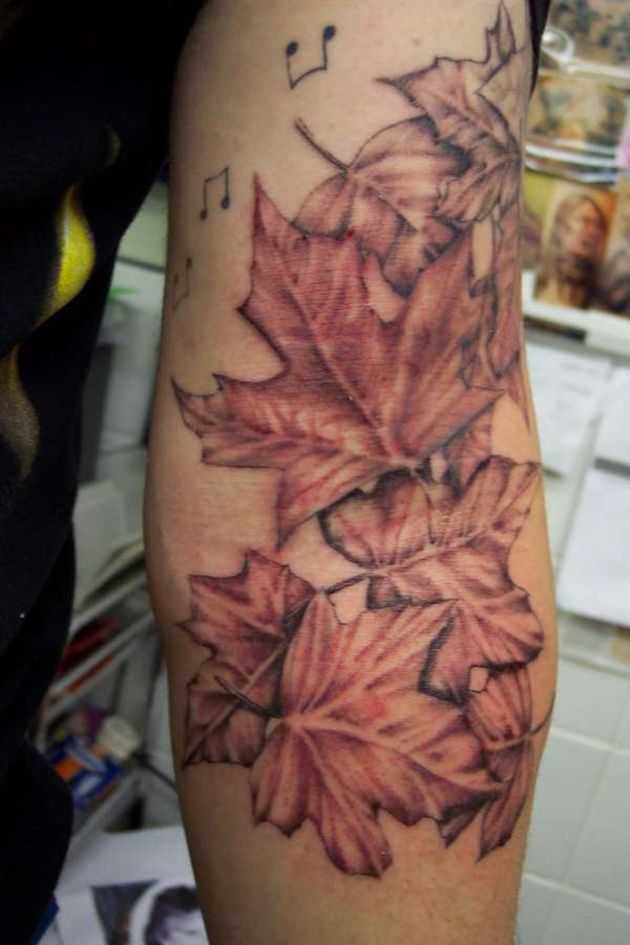 tatu_priroda-110