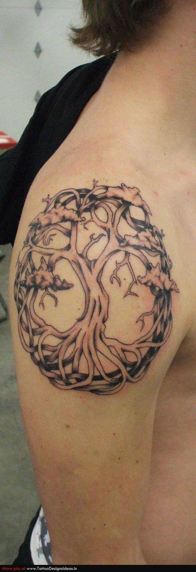 tatu_priroda-125