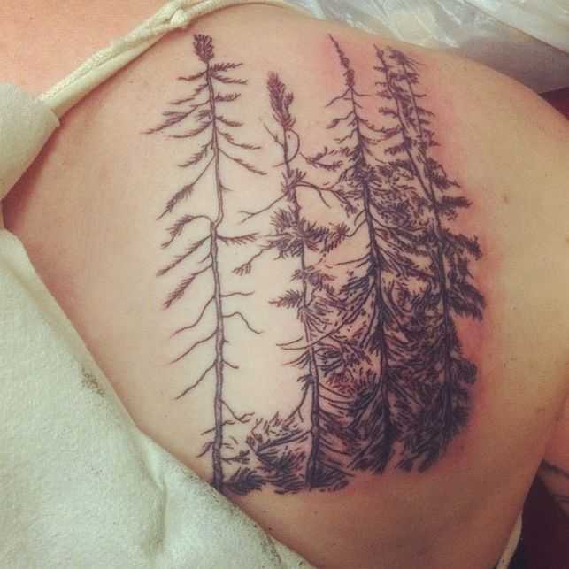 tatu_priroda-13