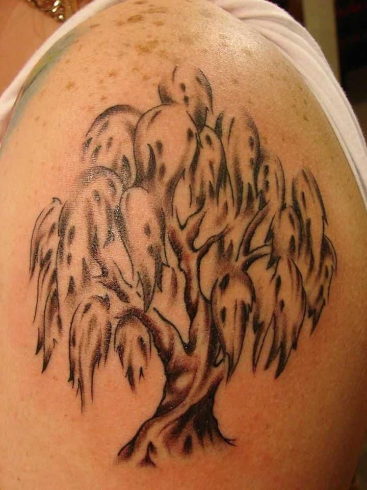 tatu_priroda-160