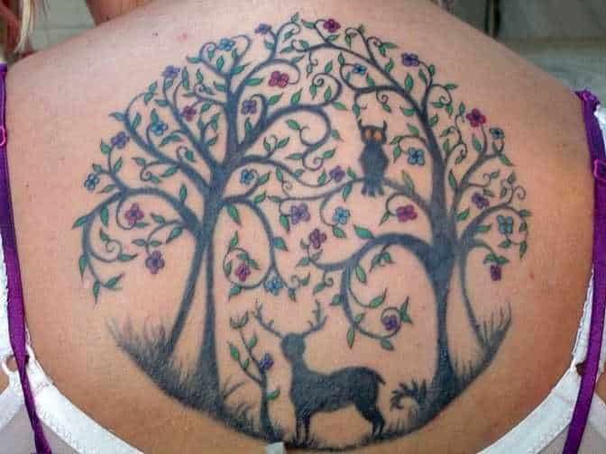 tatu_priroda-31