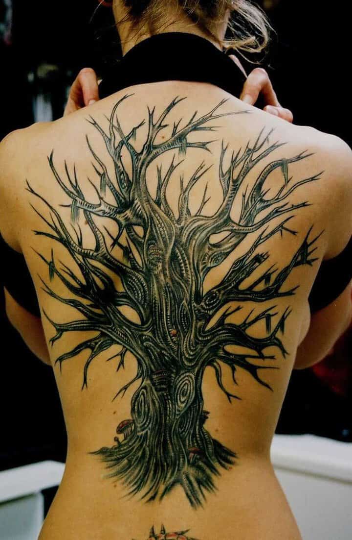 tatu_priroda-76