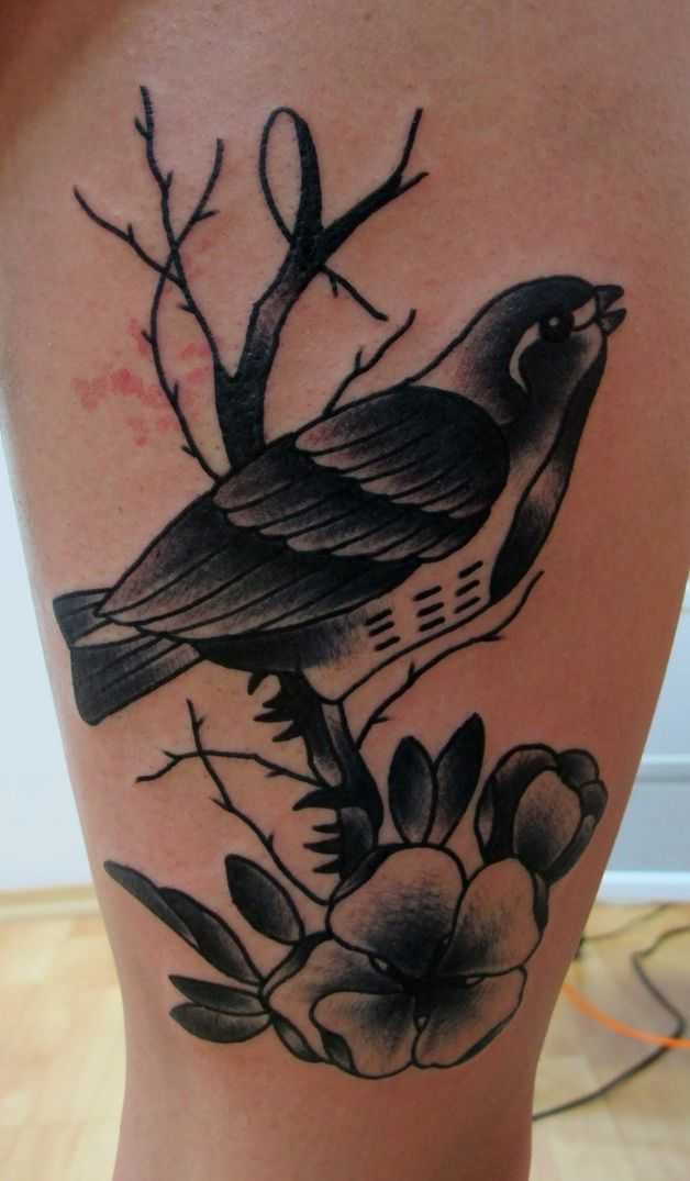 tatu_ptica-1