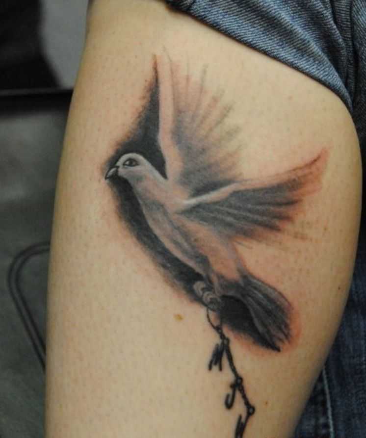 tatu_ptica-49