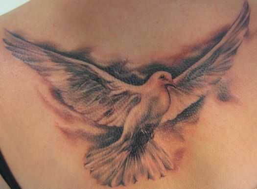 tatu_ptica-50