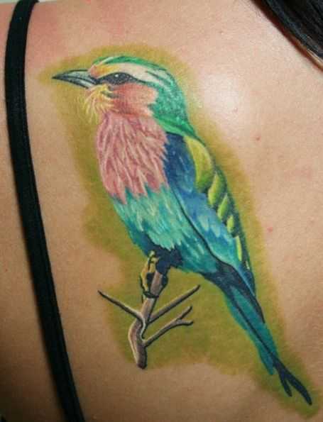 tatu_ptica-61
