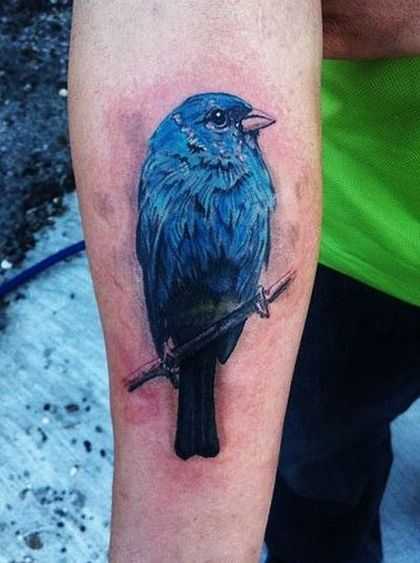 tatu_ptica-68