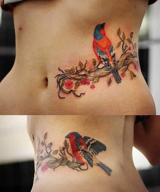 tatu_ptica-70