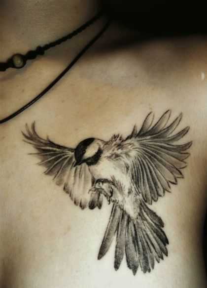 tatu_ptica-73