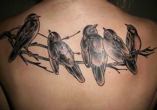 tatu_ptica-74