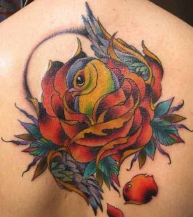 tatu_ptica-80