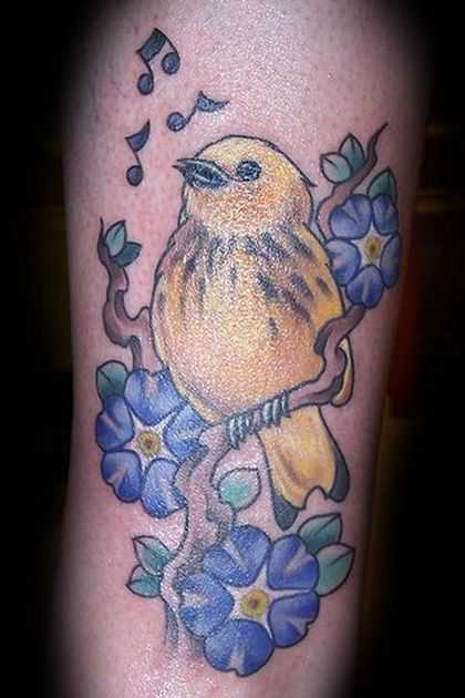 tatu_ptica-9